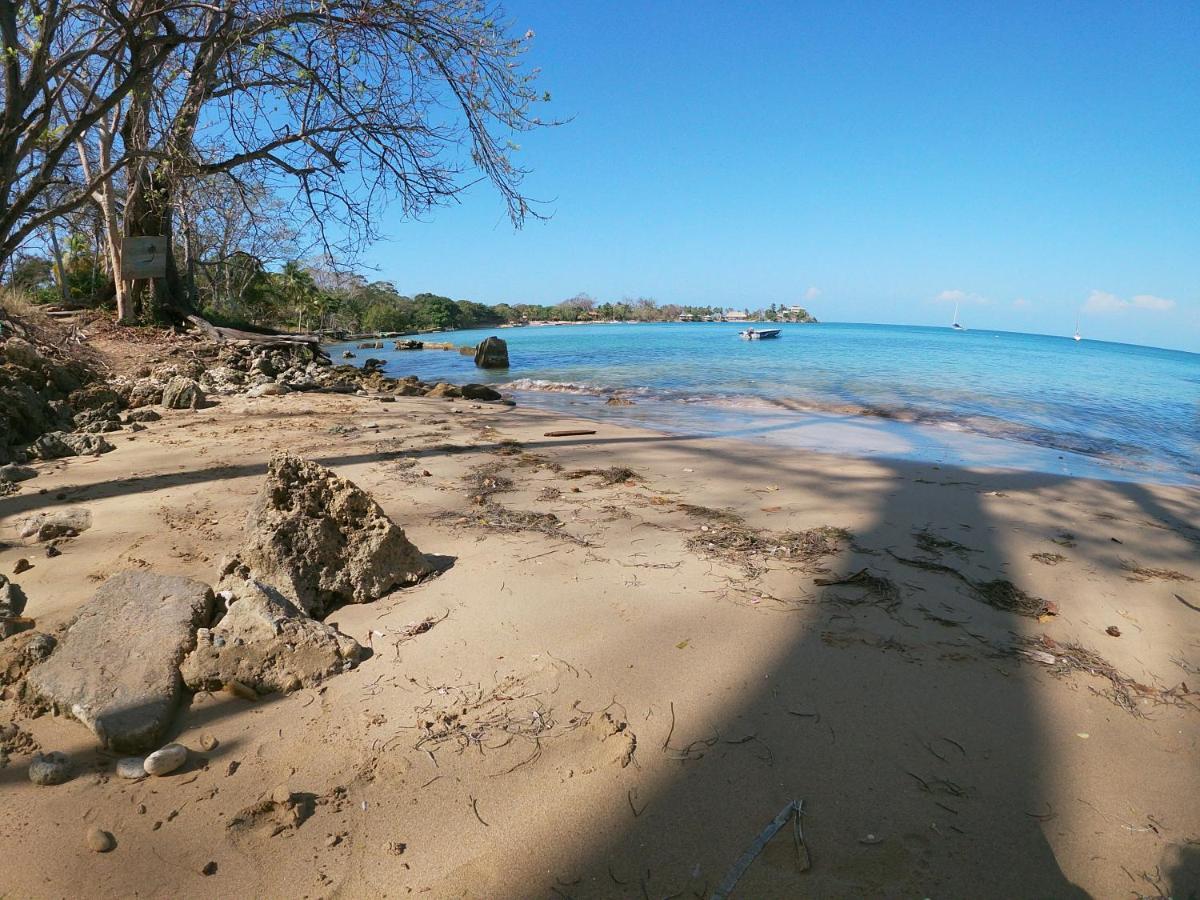 Puerto Limon Private Beach House Maloka Surf מראה חיצוני תמונה
