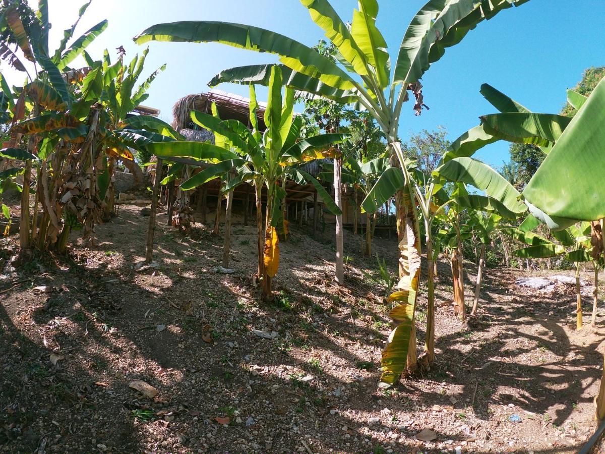 Puerto Limon Private Beach House Maloka Surf מראה חיצוני תמונה